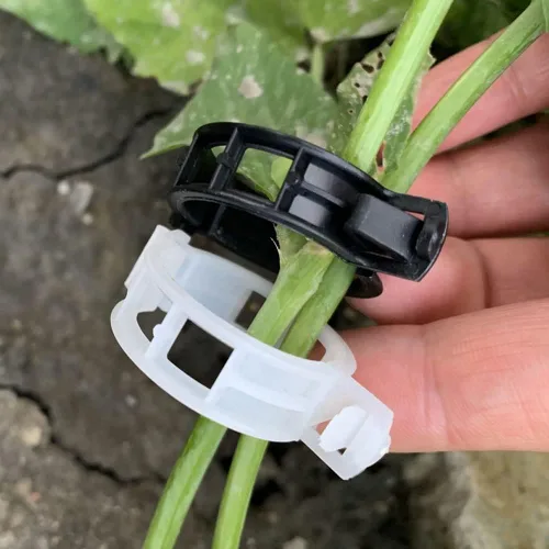 Miniatura 5 de 100 clips de soporte para plantas de jardín, clips de tomate, lazos para plantas, clips de enrejado, clips de enrejado para plantas de vid de Negro