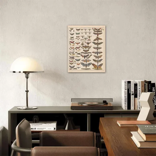 Miniatura 7 de Meishe Art Póster Impreso Vintage Polilla Insectos Razas Identificación Tabla de Referencia Colección de Especies Diagrama de Entomología Aula Club