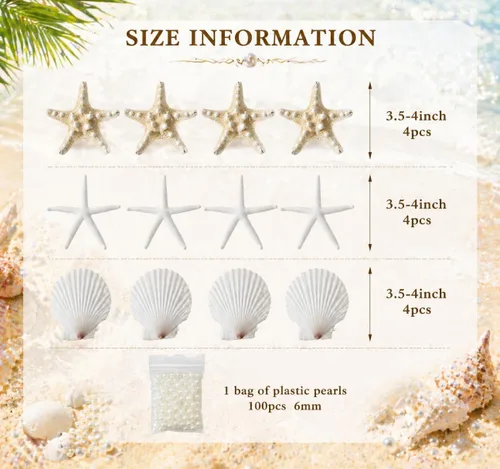 Miniatura 3 de JSPYFITS Estrellas de mar grandes de 2.5 a 4 pulgadas y conchas de vieira para manualidades, 12 unidades, conchas naturales de mar de playa