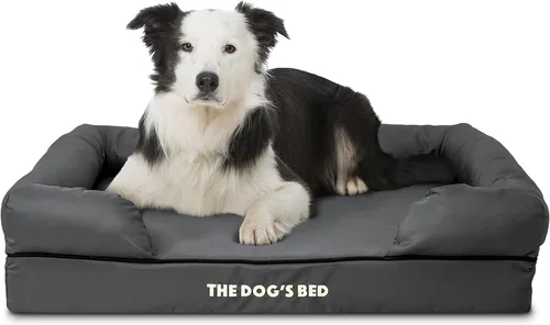 Miniatura 56 de The Dog's Bed - Cama ortopédica de espuma viscoelástica para perros medianos, colchón de soporte de alta densidad, entrada frontal baja, funda negro