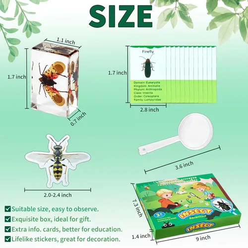 Miniatura 3 de Specimen de Insectos en Resina, 12 PIEZAS Colección Educativa Científica de Insectos, Specimens Reales de Varias Mariposas y Escarabajos