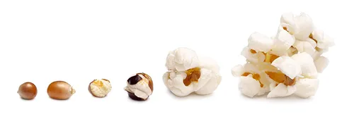 Miniatura 2 de Perfectware Condimento para palomitas de maíz de 4 onzas, rancho, temporada de palomitas de maíz de 4 onzas