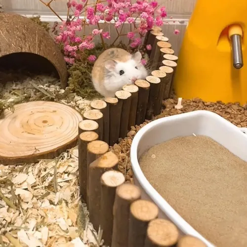 Miniatura 6 de DR.DUDU Arena de baño para hámster, 6.6 libras, libre de polvo, arena del desierto o arena para orinal para hámster, chinchillas, jerbos, ratones