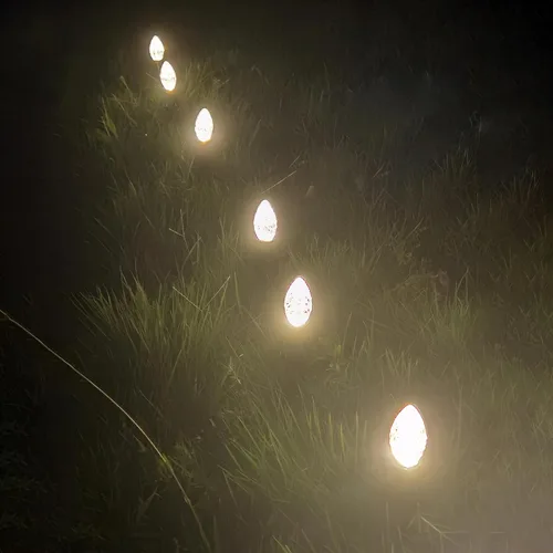 Miniatura 6 de Paquete de 25 bombillas LED C7 de repuesto - Bombillas blancas cálidas atenuables para luces de Navidad de cadena interior y exterior, bombillas LED
