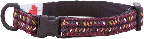 Miniatura 35 de RC Pets Kitty Breakaway - Collar para gatos, Cat-titude