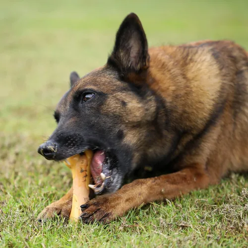 Miniatura 2 de Tikaton Juguetes masticables indestructibles para perros para masticadores agresivos, sabor a pollo, juguetes masticables duraderos para dentición