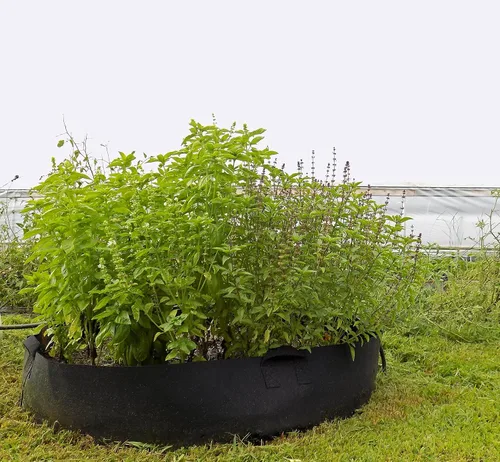 Miniatura 2 de Bootstrap Farmer Bolsa de cultivo de 100 galones, 1 paquete Maceta grande de tela con asas reforzadas para árboles y verduras