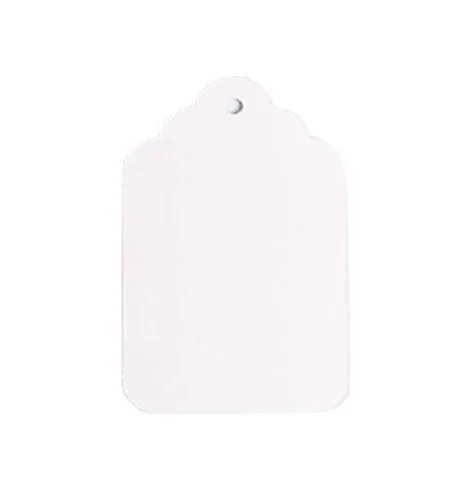 NAHANCO 8NS - Etiquetas de mercancía multiusos sin ataduras de 1-3/4 x 2-11/16 pulgadas, color blanco 1000 por caja (paquete de 1000)