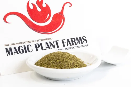 Fiery Farms Green Japanese Sancho Peppercorn Pods – 2.2 lbs a granel – Pimientos enteros secos | Emocionante especia cítrica hormigueo en la boca |