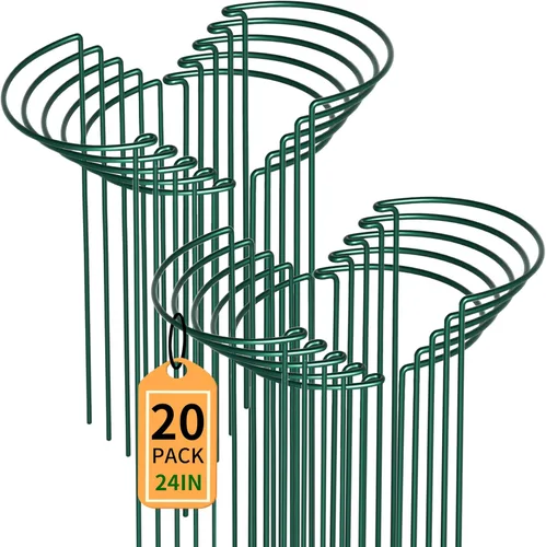 Miniatura 12 de TCBWFY Paquete de 10 estacas de soporte para plantas de peonía, 10 pulgadas de ancho x 16 pulgadas de alto, jaulas de peonía de alta resistencia