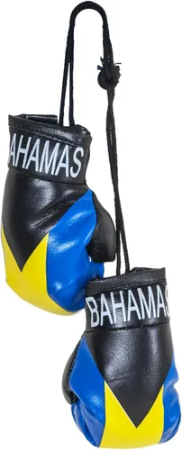 SandT Collection Guantes de boxeo pequeños con bandera del país - Guantes de boxeo para colgar