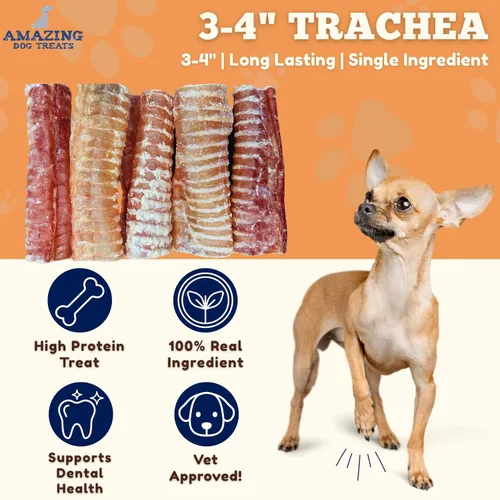 Miniatura 2 de Amazing Dog Treats - Anillos de tráquea de ternera (3-4 pulgadas, 12 unidades) -Masticables prémium para perros- Ideal para perros de tamaño pequeño