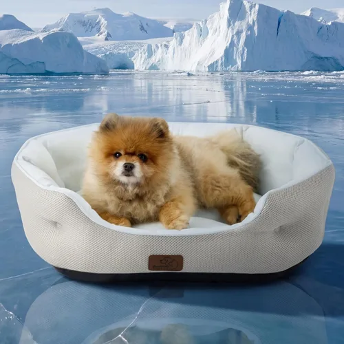Miniatura 6 de Bedsure Camas refrescantes para perros pequeños, camas redondas para gatos de interior, cama lavable para cachorros y gatitos con parte inferior Azul