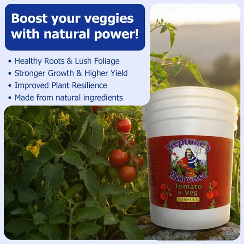 Miniatura 5 de Neptune's Harvest Fertilizante orgánico para plantas de tomate y verduras (2-4-2) – Alimento líquido para plantas con pescado fresco, algas marinas