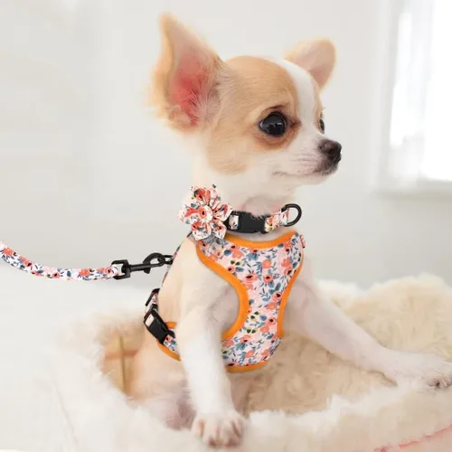 Miniatura 5 de Beirui Collares, arneses y correas lindos para perritas, conjunto de arnés y correa ajustable para perros con flor - Arnés de malla suave