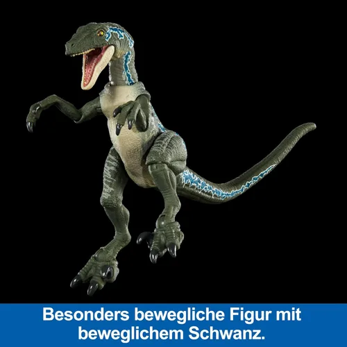 Miniatura 3 de Mattel Jurassic World Hammond Collection - Figura de acción de dinosaurio, velociraptor 'azul' dinosaurio juguete con articulación