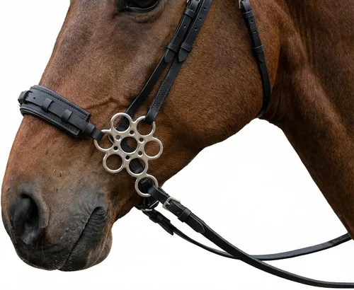 Miniatura 4 de CHALLENGER Caballo Cuero Flor Mango Acolchado Noseband Entrenamiento Hackamore Curb Correa 35H67