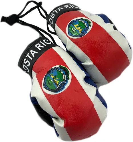 Miniatura 10 de Mini guantes de boxeo para colgar en el espejo del coche (Camerún)
