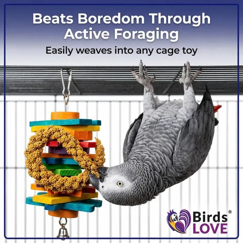 Miniatura 6 de Birds LOVE Puntas y Colas de Mijo para Aves - Periquitos, Cacatúas, Periquitos, Pinzones, Cotorras, Canarios, Cacatúas - Mijo Natural y Saludable