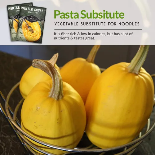 Miniatura 6 de Survival Garden Seeds - Semillas de calabaza espagueti para plantar - 5 paquetes con instrucciones para plantar y cultivar calabazas de invierno