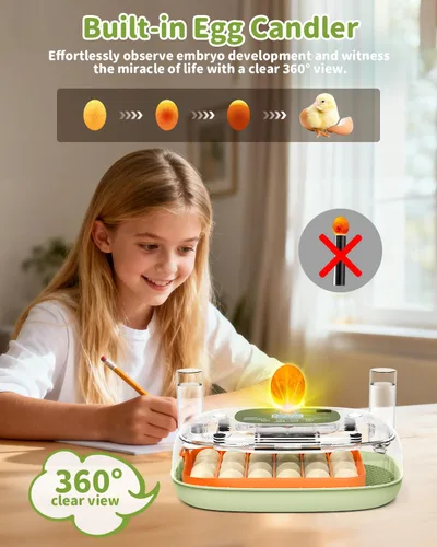 Miniatura 6 de Incubadora de huevos para 24 huevos de pollo con volteador automático, control digital de temperatura y pantalla de humedad, ovoscopio, incubadora
