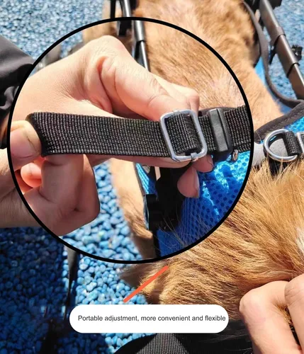 Miniatura 5 de Herramienta ligera para caminar para perros, silla de ruedas ajustable para perros, soporte para piernas y soporte de cadera para perros pequeños