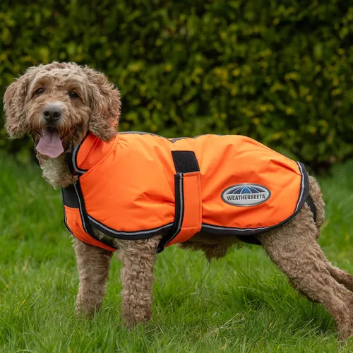 Miniatura 3 de Anorak Weatherbeeta Comfitec reflectante 300D, abrigo para perro Deluxe Lite Orange