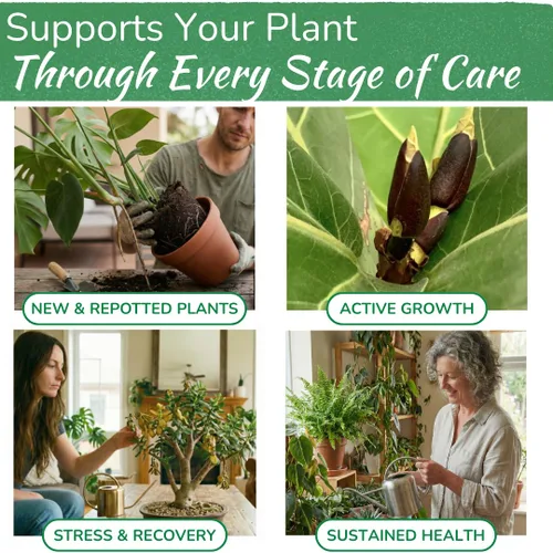 Miniatura 3 de Abono para Plantas de Interior de Houseplant Resource Center - Fertilizante Líquido Orgánico para Pothos, Lirio de Paz, Monstera, Cactus y Más - 8 oz