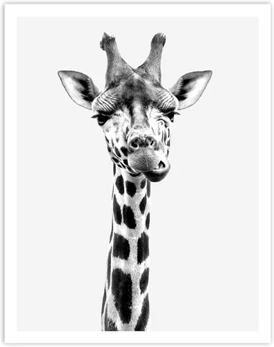 Miniatura 7 de 4 Piece Safari Zoo Animal Nursery Set, Neutral Wall Decor, Kids Bedroom, Children's Room Animal Print Collage 4 Piece Set, 11 x 14 inches each