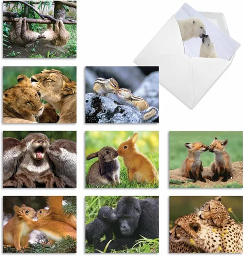 Miniatura 8 de The Best Card Company - Tarjetas de animales en blanco en caja, 4 x 5.12 pulgadas, mascotas surtidas, zoológico, tarjetas de vida silvestre