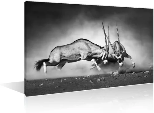 Miniatura 14 de Arte de pared en blanco y negro con diseño de vaca escocesa de las tierras altas en la Isla de Mull impresiones sobre lienzo, decoración del hogar