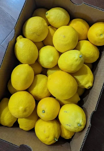 Miniatura 2 de Limones Meyer frescos de California - 5 libras..