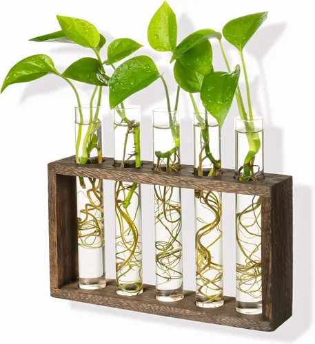 Kingbuy Estación de propagación de pared con 5 jarrones de tubo de ensayo, soporte de madera vintage, maceta colgante de pared para plantas,