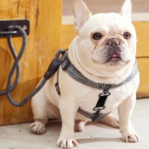 Miniatura 4 de Clip de seguridad de respaldo para collar de perro pequeño, clip de collar de punta para mini perros, deslizamiento suave de doble extremo