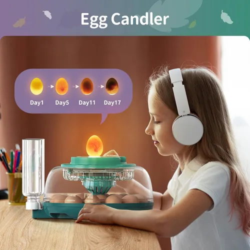 Miniatura 4 de Incubadora automática de huevos con pantalla LED, incubadora de huevos grande con sistema de giro y humedad ajustable, incubadora de tapa