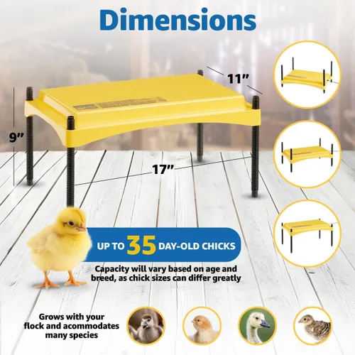 Miniatura 10 de Brinsea Ecoglow Safety 1200 - Plato para criar pollos o patitos, altura ajustable y ángulo, ideal para gallineros, aves de corral, calefacción