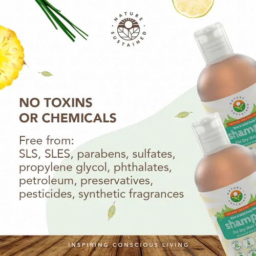 Miniatura 6 de Nature Sustained Champú Natural para Cabello Seco y Cuero Cabelludo - Orgánico, Crudo y Silvestre con Probióticos, Hipoalergénico, Champú Hidratante