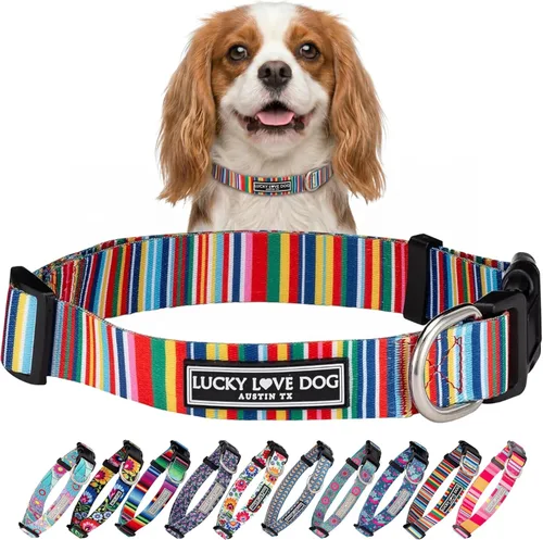 Miniatura 78 de Lucky Love Dog - Collar de perro ajustable con hebilla de fácil clic para los grandes, duradero y cómodo para perros machos y hembras, collar