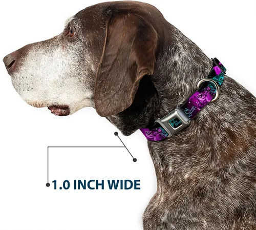 Miniatura 6 de Collar de perro hebilla de cinturón de seguridad Harley Quinn Pow Aiming Poses Joker Negro Turquesa Fucsia 18 a 32 pulgadas 1.5 pulgadas de ancho