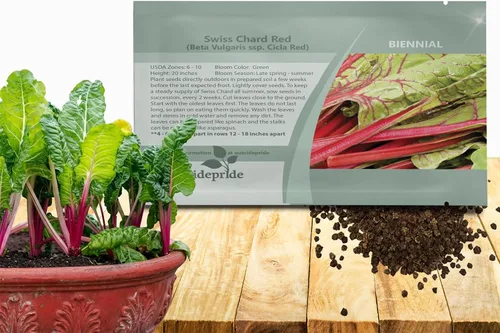 Outsidepride Semillas de acelgas rojas para plantar verduras y microverdes, 1000 piezas de semillas vegetales bienales vibrantes, sabrosas y