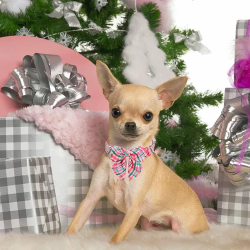 Miniatura 5 de Unique style paws Collar de perro con corbata, collar de perro a cuadros rosa y verde, el mejor regalo para perros pequeños, medianos y grandes, S
