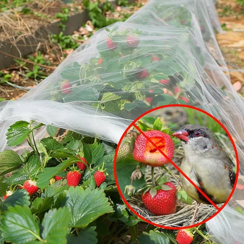 Miniatura 3 de GonLei Red de jardín de 10 x 100 pies ultra fina para protección del jardín, red de jardín para camas elevadas, mosquitera para arbustos de Red