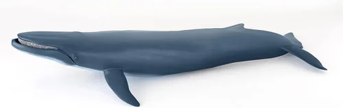 Papo - Figura realista de ballena azul para niños - A partir de 3 años - Colección de vida marina - Juego educativo de mamíferos marinos - Juguete