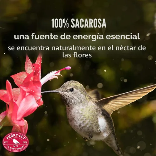 Miniatura 4 de Perky-Pet – Néctar concentrado transparente para colibrí