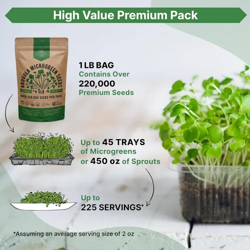 Miniatura 3 de Organo Republic Semillas de Rúcula para Germinación y Microgreens - Kit de Semillas de Brotes Sin OGM, Reliquia, Bolsa Resellable de 1 libra
