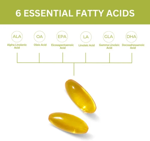 Miniatura 5 de Youngevity EFA Plus 90-4 Pack