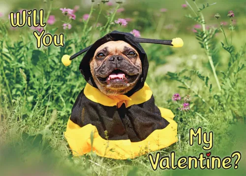 Miniatura 3 de Glory To Dog A Little Valentine's Toast - Tarjeta de felicitación con sobre de correo para tarjetas de felicitación