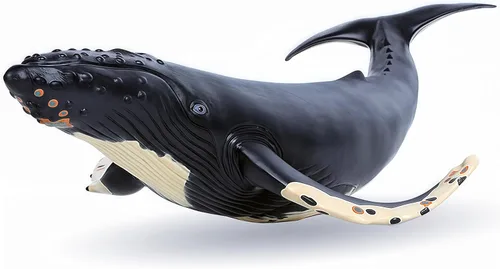 Gemini&Genius - Figura de acción de ballena jorobada, juguetes de animales marinos de orca y pez negro, tiburón de goma suave del océano, ideal para