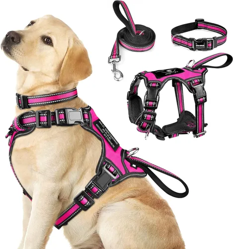 Miniatura 12 de WINSEE - Juego de arnés, collar y correa para mascotas, todo en uno, arnés reflectante para perros sin tirones con hebillas ajustables para Rojo