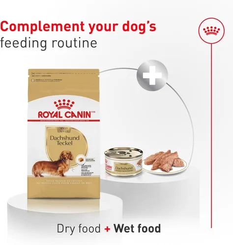 Miniatura 7 de Alimento seco para perros Royal Canin Breed Health Nutrition para Dachshund adulto, bolsa de 10 lb